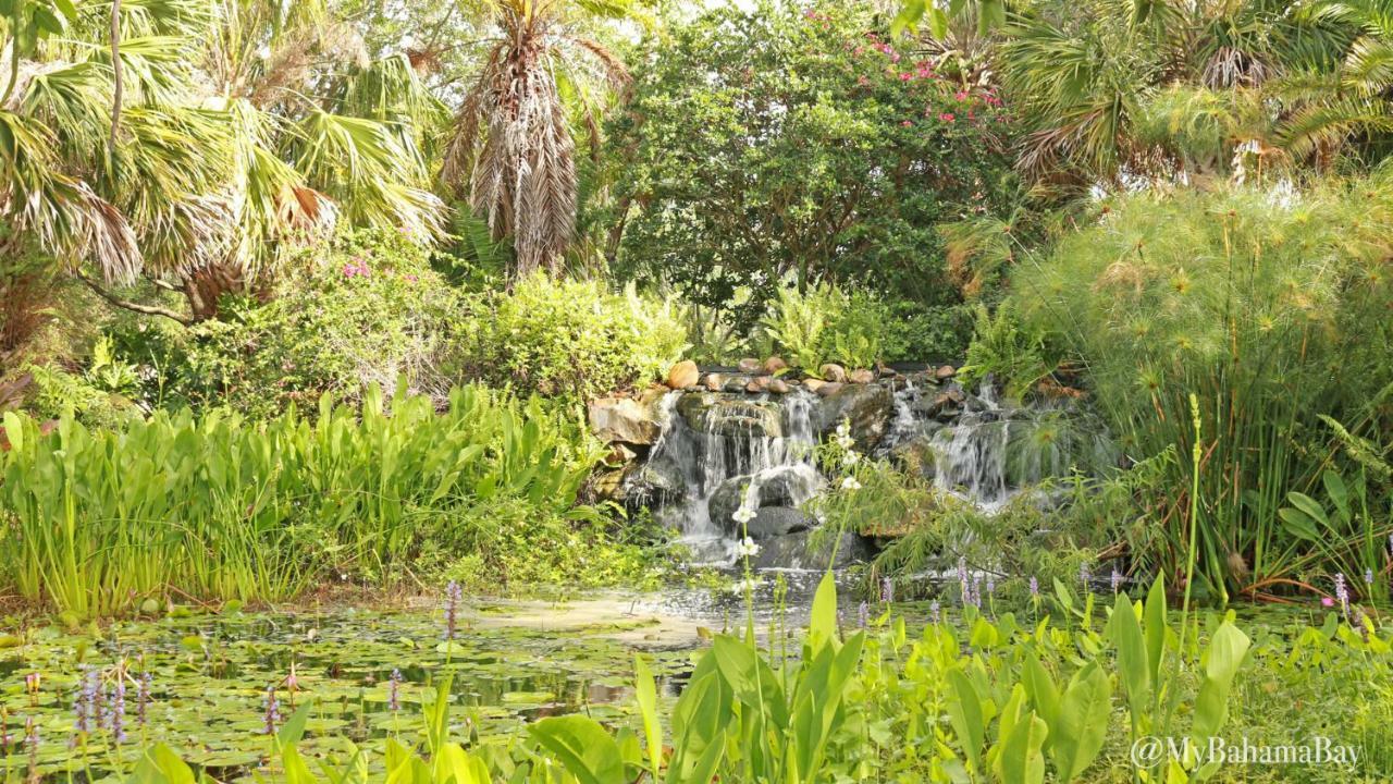 Bahama Bay Condo Citrus Ridge Eksteriør billede